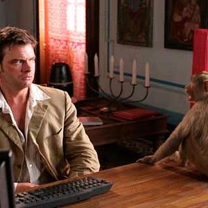 Photo Gérard Bitton