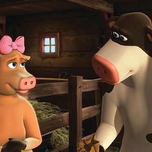 Photo Steve Oedekerk