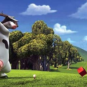 Photo Steve Oedekerk