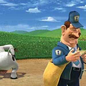 Photo Steve Oedekerk