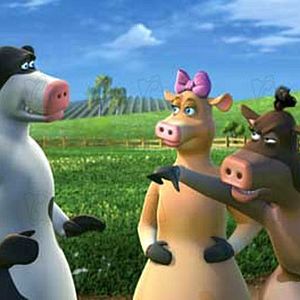 Photo Steve Oedekerk