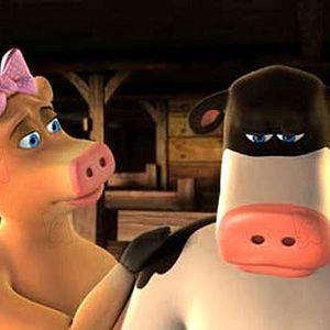 Photo Steve Oedekerk