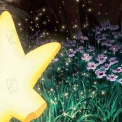 Photo Piet De Rycker