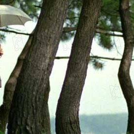 Photo Jun Ichikawa (II)