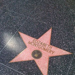 Photo Elizabeth Montgomery