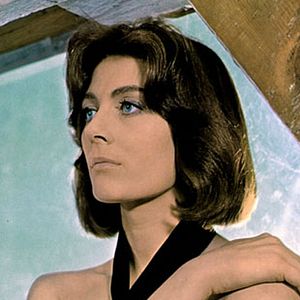 Photo Michelangelo Antonioni