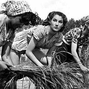 Photo Giuseppe de Santis