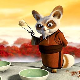 Photo Kung Fu Panda