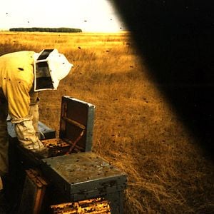 Photo Peter Hoffmann