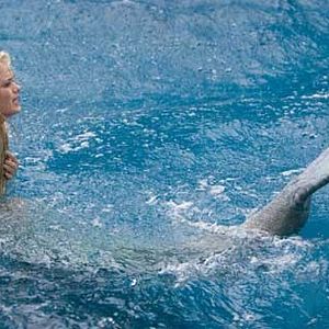 Photo Elizabeth Allen