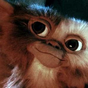 Photo Joe Dante