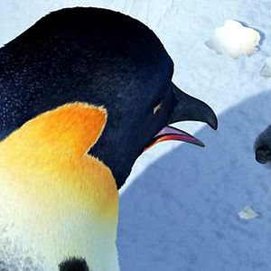 Photo Happy Feet