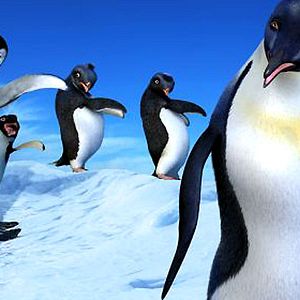 Photo Happy Feet