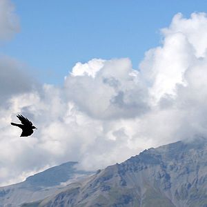 Photo Les Aiguilles rouges
