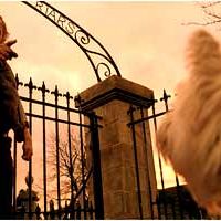 Photo The Adventures Of Greyfriars Bobby