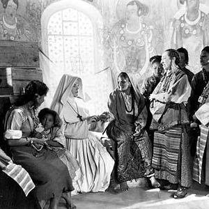 Photo Le Narcisse noir