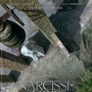Photo Le Narcisse noir