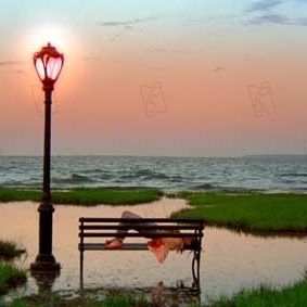 Photo John Cameron Mitchell