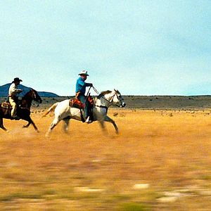 Photo Anne Feinsilber