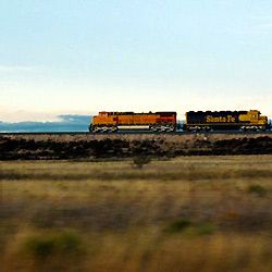 Photo Anne Feinsilber