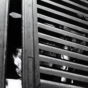 Photo Michelangelo Antonioni