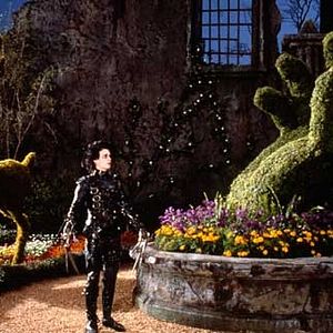 Photo Edward aux mains d'argent