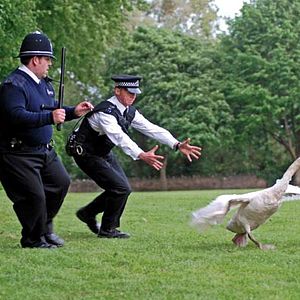 Photo Hot Fuzz
