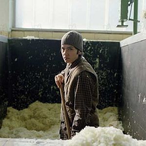 Photo Angelina Maccarone