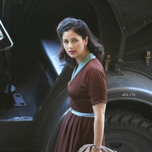 Photo Chat bleu, Chat noir