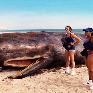 Photo Robert Ben Garant