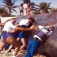 Photo Robert Ben Garant