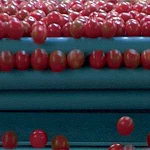 Photo Erwin Wagenhofer