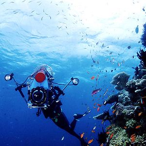 Photo Rob Stewart (II)