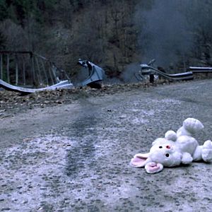 Photo Rabbit troubles