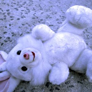 Photo Rabbit troubles