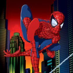 Photo Les Nouvelles aventures de Spider-Man (2003)
