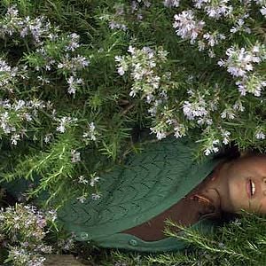 Photo Des temps et des vents