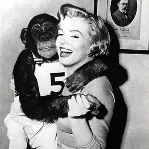 Photo Marilyn Monroe