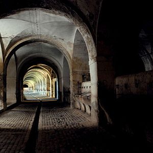 Photo Pere Portabella