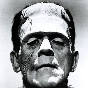 Photo Frankenstein