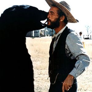 Photo Juge et Hors-la-loi