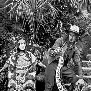 Photo Les Araignées - Le lac d'or