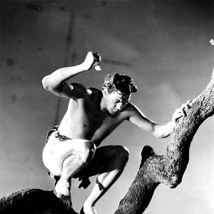 Photo Tarzan, l'homme singe