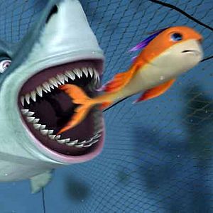 Photo Festin de requin