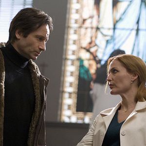 Photo X Files - Régénération