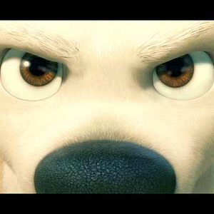 Photo Chris Williams