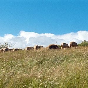 Photo La Vie moderne