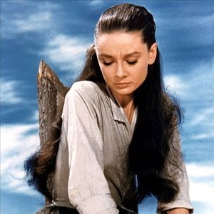 Photo Le Vent de la plaine