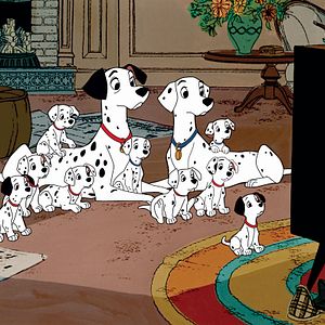 Photo Les 101 Dalmatiens