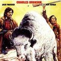 Photo Le Bison blanc